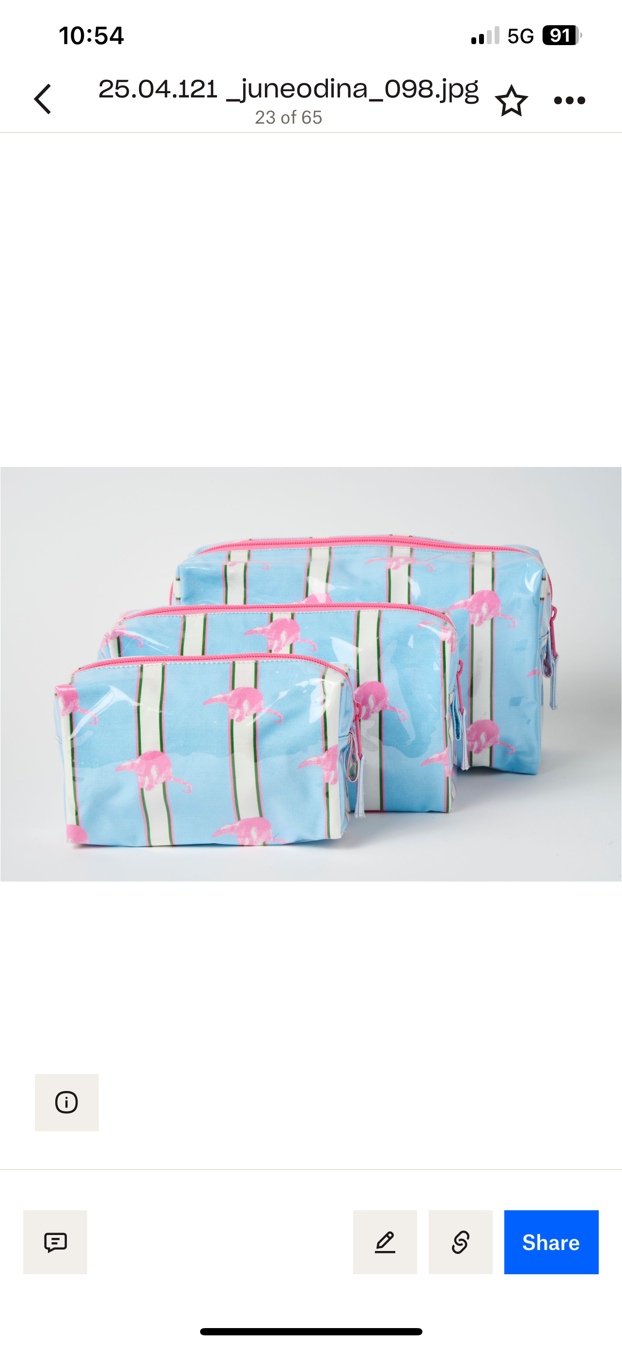 Striped Makeup Bag - Blue